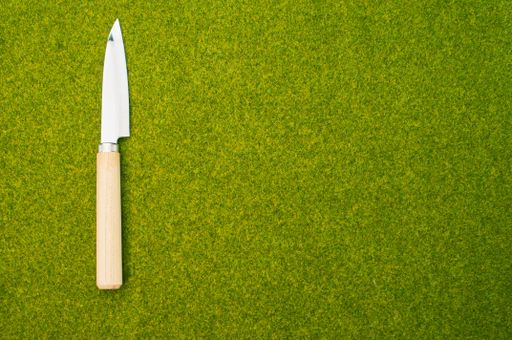 A top view shot of a kitchen knife with a wooden end on a green grass surface