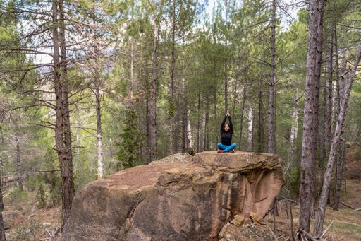A brunette girl sitting cross-legged on a stone in a forest.