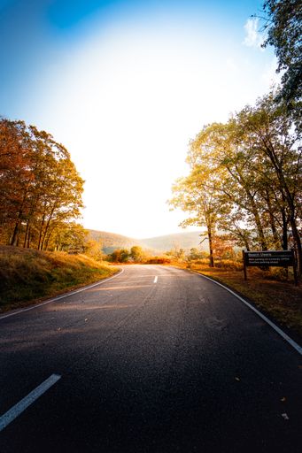 A road surrounded by colorful trees at sunse