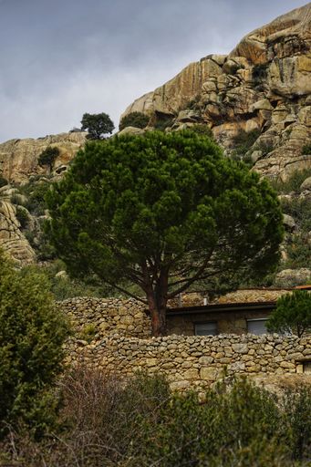 A vertical shot of plants and a building under a canyon on a cloudy day
