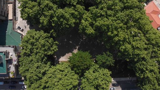 A top view shot of the Carvalhais Garden in Santo Tirso, Porto, Portugal.