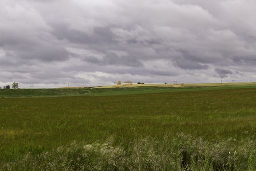 We can see a cereal field during a cloudy and windy day, green predominates on a gray sky with clouds that bring rain