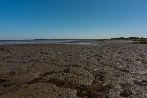 A shot of the dry sandy beach in Cais Palafítico da Carrasqueira, Portugal during low tide