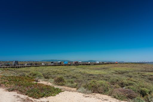 A shot of the grassy field next to a beach in Cais Palafítico da Carrasqueira, Portugal