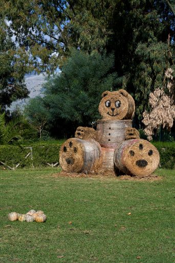 A vertical of hay bales arranged as a bear in a green field