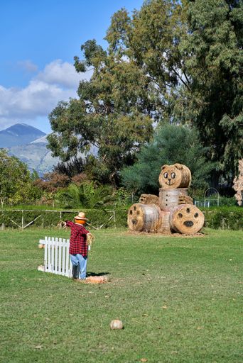 A vertical of hay bales arranged as a bear in a green field