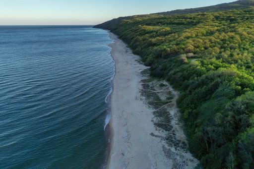 An aerial shot of beach shore near a forested mountain