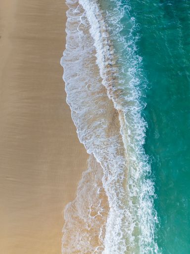 The golden shore of a tranquil beach