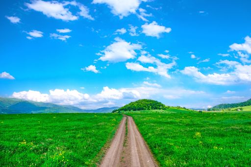 A picturesque dirt road winding its way through rolling green hills and lush trees, accented with puffy white clouds in the crisp blue sky