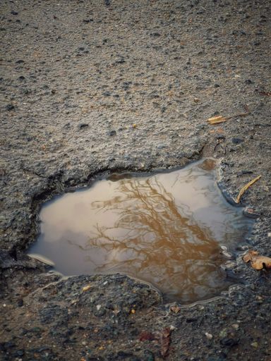 A puddle on asphalt after the rain