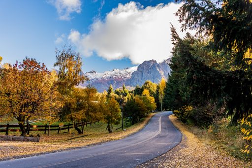 A beautiful shot of a road through a dense forest in Bariloche, Patagonia, Argentina