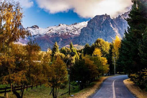 A beautiful shot of a road through a dense forest in Bariloche, Patagonia, Argentina