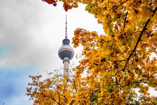 A vibrant autumn scene with golden foliage and Berliner Fernsehturm in the background