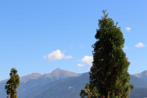 A scenic landscape featuring a majestic mountain range in the backdrop and a few tall trees in the foreground, illuminated by a beautiful blue sky