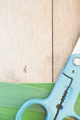 A top view of scissors with green leaves on a wooden surface