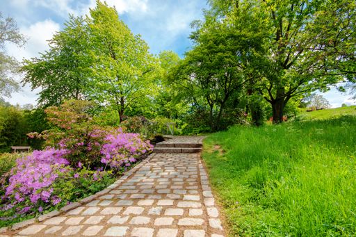 A walkway in a garden covered in flowers and greenery under the sunlight and a blue cloudy sky