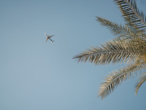 A low angle shot of palm tree branches and a plane flying in a blue cloudless sky iZanzibar island