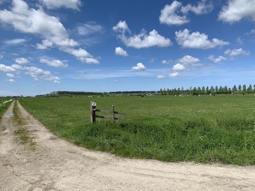 A narrow rural road through grassy meadows on a sunny day