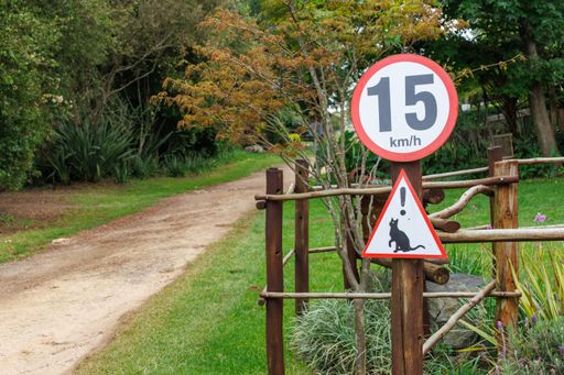 An outdoor sign standing on the side of a dirt road surrounded by trees