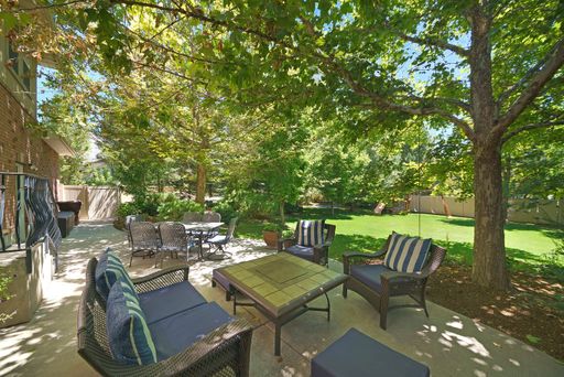 A beautiful sunny backyard with tables and chairs on background of fresh green trees