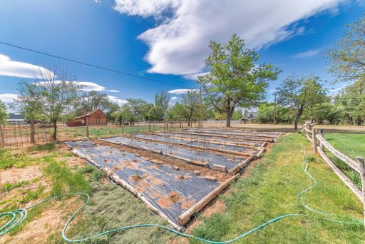 A beautiful sunny garden during irrigation under the cloudy blue sky