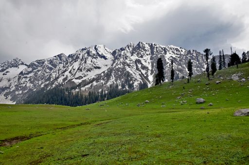 A closeup shot of a landscape with fresh green grass and mountains in the background