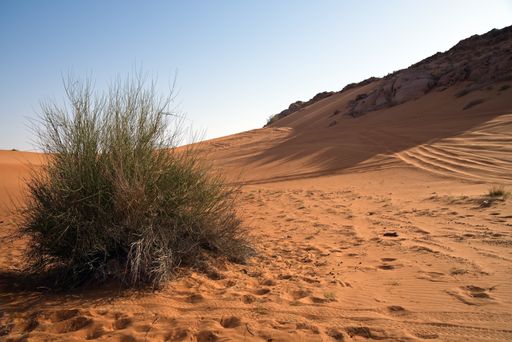 Sharjah, United Arab Emirates – April 9, 2021, early morning off-roading and dune bashing around Al Madam desert with UAE Off roaders, one of best
