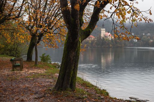 A scenic lakeside landscape featuring a small island in the middle of Lake Bled in Slovenia.