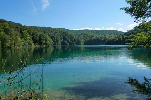 A majestic view of a turquoise lake surrounded by trees in Plitvice Lakes National Park, Croatia