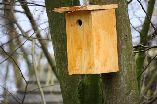 A closeup shot of a wooden birdhouse attached to a tree