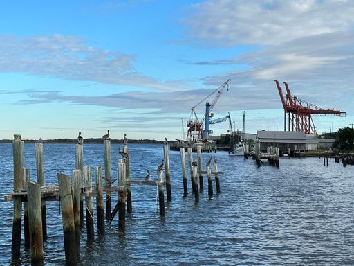An idyllic shot of a dock with a small bird perched atop and several boats in the background