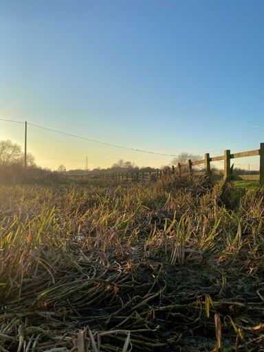 A vertical of a fence and lush green grass field at sunset