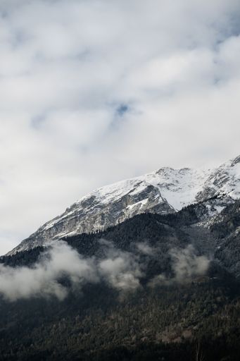 A vertical shot of mountains tops covered with snow and trees under cloudy skies