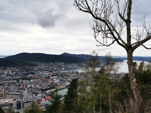 The city of Bergen seen from Floyfjellet mountain, Norway