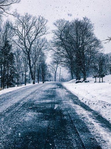 A vertical shot of a street surrounded by trees covered in snow