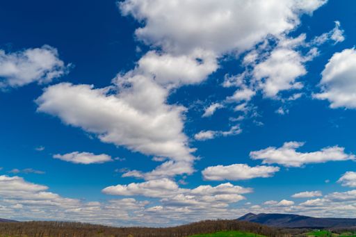 Beautiful outdoor shot of a herd of cows grazing peacefully in a lush grassy meadow against a backdrop of clear blue sky with white fluffy clouds