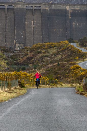A vertical shot of a cyclist woman riding to the road at Ben Crom Reservoir, North Ireland