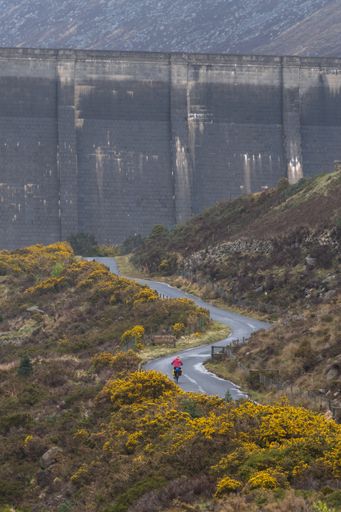 A vertical shot of a woman cycling  to the Ben Crom Reservoir, North Ireland