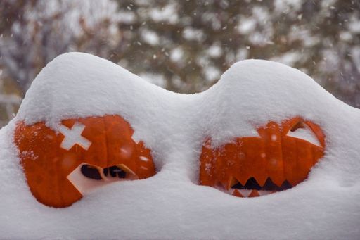 The two carved pumpkins, partially covered in snow, against a wintery backdrop