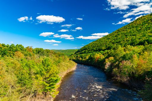 This stunning landscape features a mountain range surrounded by lush green trees and a river, Lehigh Gorge State Park, Pennsylvania
