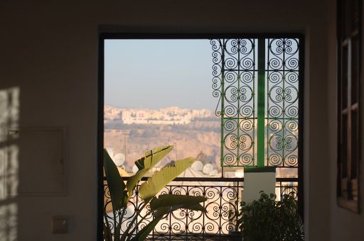 An interior shot of a terrace  with plant and a view of the buildings