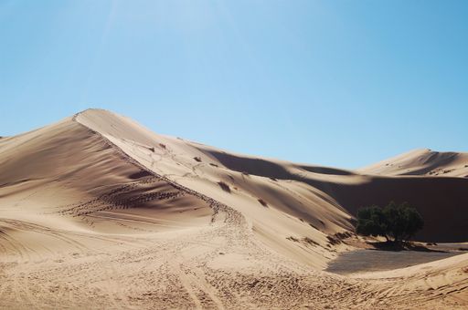 A wide shot of sand dunes in the desert on a sunny day