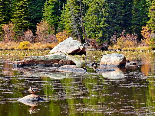 A landscape of a lake surrounded by rocks and greenery under the sunlight in autumn