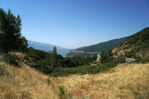 a wide view of a yellow field and green plants and trees - sea and hills background