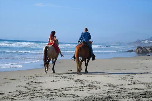 Two female figures joyfully riding horses along a sandy beach with the tranquil blue ocean as a backdrop
