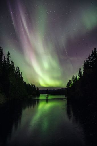 A vibrant green aurora illuminating the night sky in Northern Norway