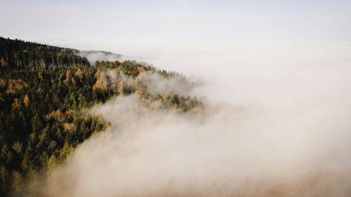 A landscape of forests covered in the fog under a cloudy sky