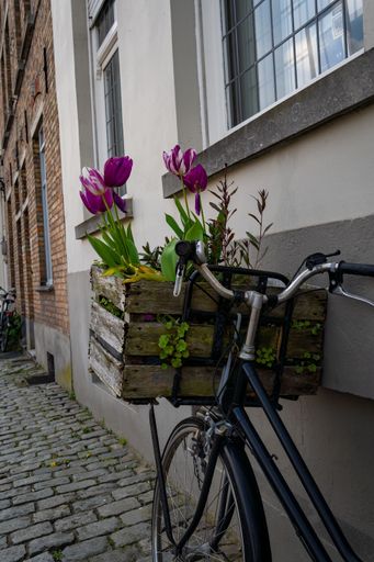 A vintage bicycle parked in front of a brick building with a bouquet of colorful flowers in the basket