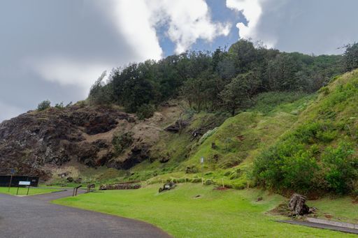 A scenic pathway winds its way through a vibrant landscape of lush green hills and trees.