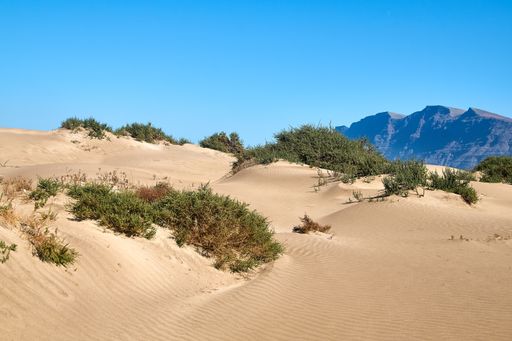 A beautiful view of Famara beach, a scenic landscape with mountains in Lanzarote, Canary islands